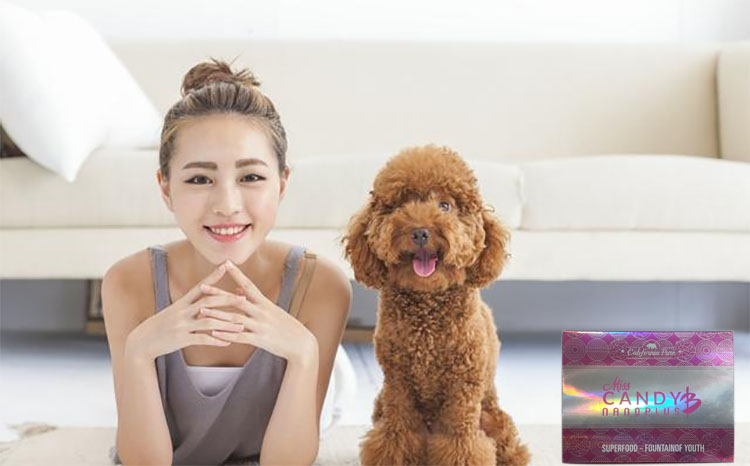 Miss Candy B+的效果表現 Miss Candy B+的效果表現