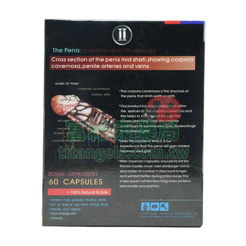 maxman-4.webp